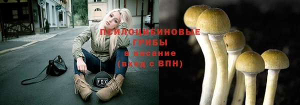 кокс Надым