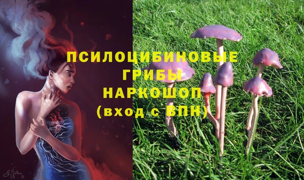 кокс Надым