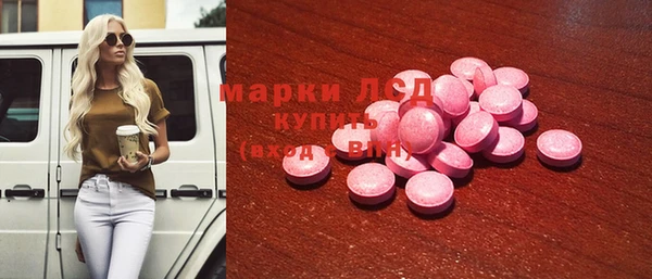 трава Наволоки