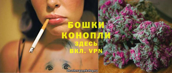трава Наволоки