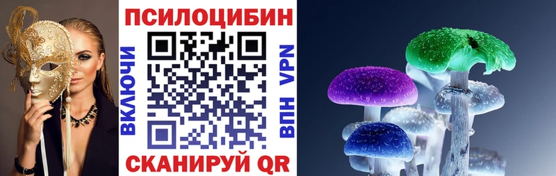 Галлюциногенные грибы прущие грибы  Чернушка 