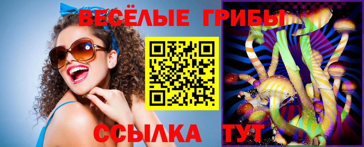 Псилоцибиновые грибы прущие грибы  Псилоцибиновые грибы прущие грибы  Вход с VPN  Чернушка 