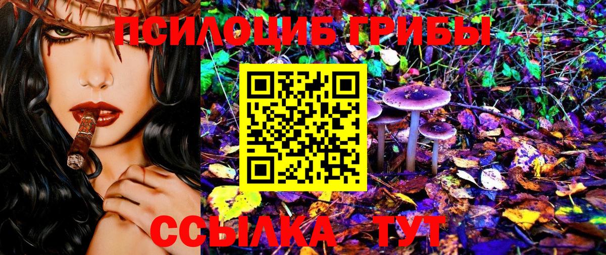 Псилоцибиновые грибы прущие грибы  Галлюциногенные грибы мухоморы  Чернушка 